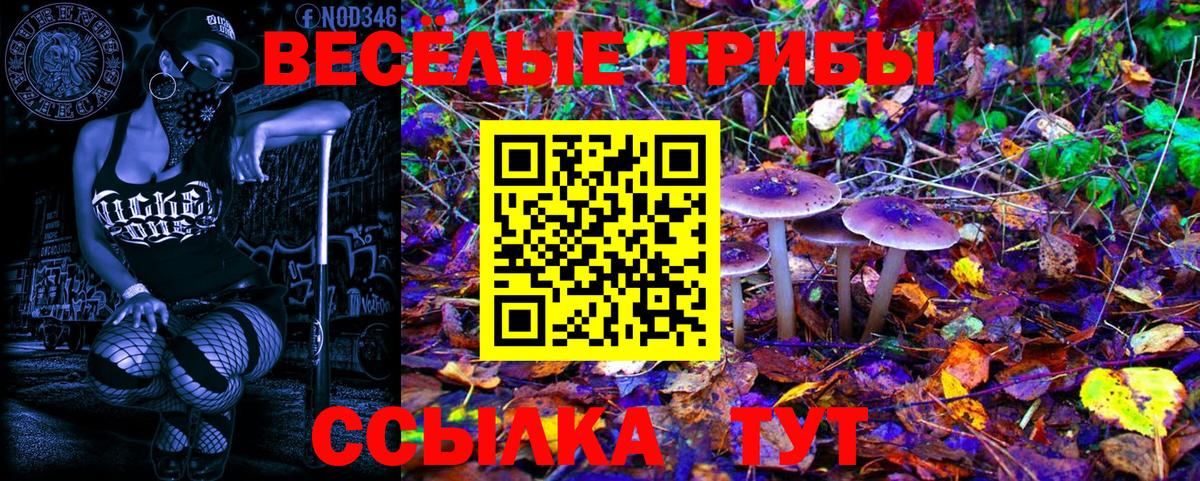 Псилоцибиновые грибы GOLDEN TEACHER Краснокаменск